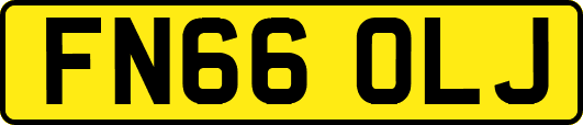 FN66OLJ
