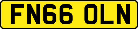 FN66OLN