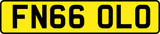 FN66OLO