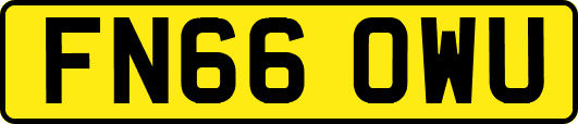 FN66OWU