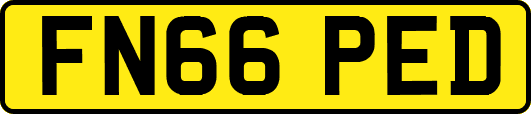 FN66PED