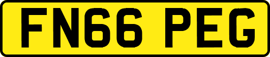 FN66PEG