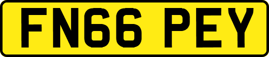 FN66PEY