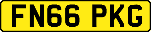 FN66PKG