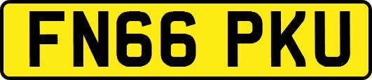 FN66PKU