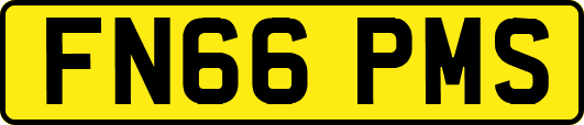 FN66PMS
