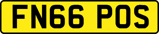 FN66POS