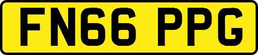 FN66PPG