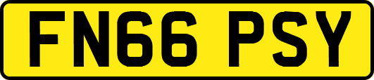 FN66PSY