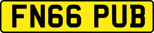 FN66PUB