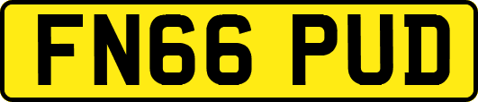 FN66PUD