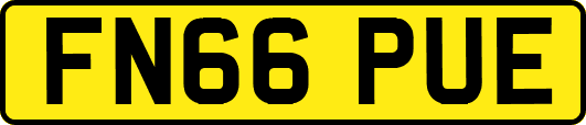 FN66PUE