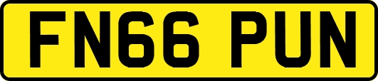 FN66PUN