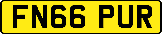 FN66PUR