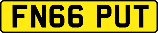 FN66PUT
