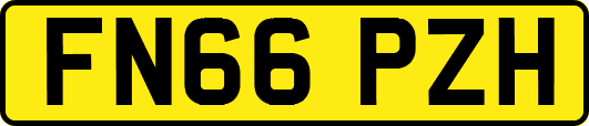FN66PZH