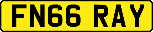 FN66RAY