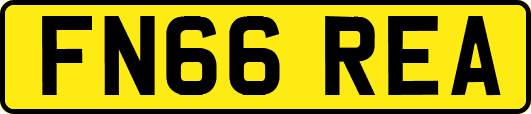FN66REA