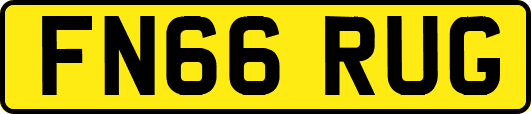 FN66RUG