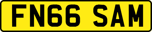 FN66SAM