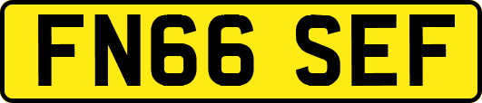 FN66SEF