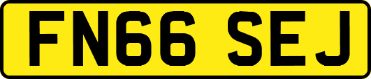 FN66SEJ