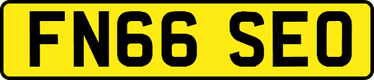 FN66SEO