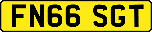 FN66SGT