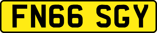 FN66SGY