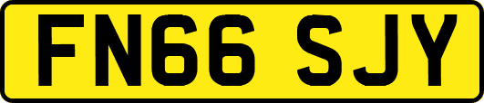 FN66SJY