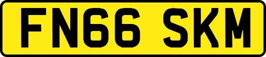 FN66SKM