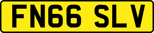 FN66SLV