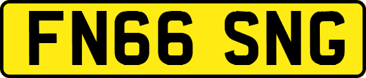 FN66SNG