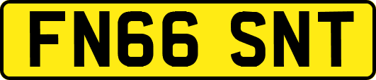 FN66SNT