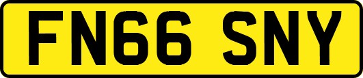 FN66SNY