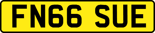 FN66SUE