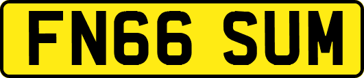 FN66SUM