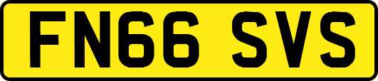 FN66SVS