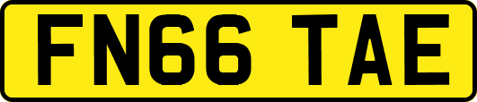 FN66TAE