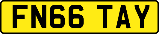 FN66TAY