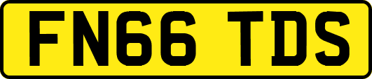 FN66TDS
