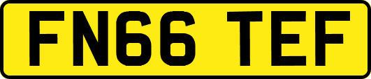 FN66TEF