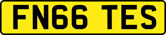 FN66TES
