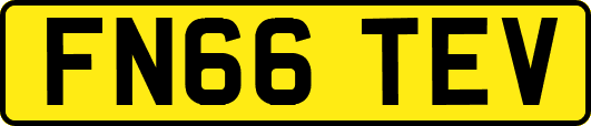 FN66TEV