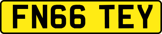 FN66TEY
