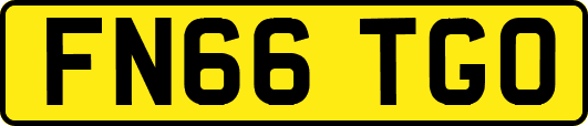 FN66TGO