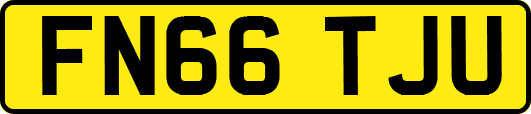 FN66TJU