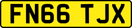FN66TJX
