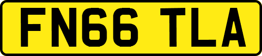 FN66TLA