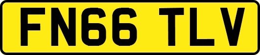 FN66TLV